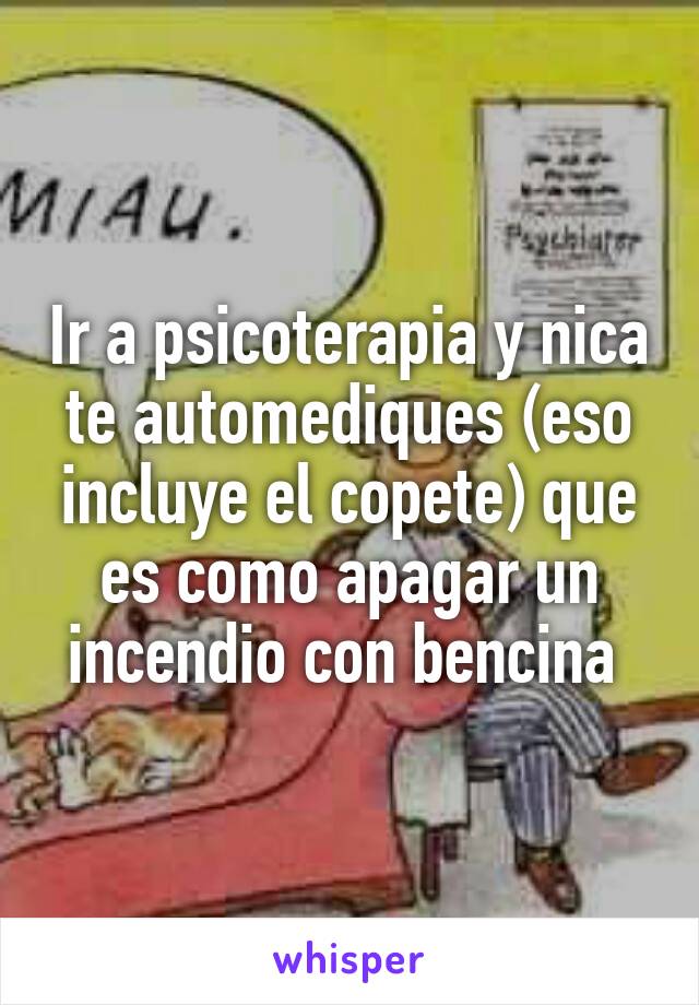 Ir a psicoterapia y nica te automediques (eso incluye el copete) que es como apagar un incendio con bencina 