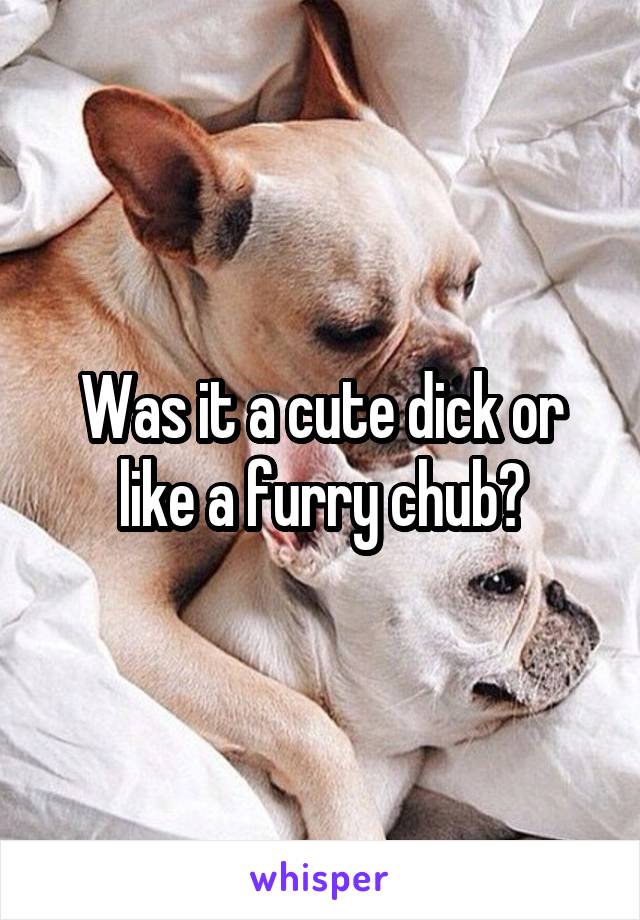 Was it a cute dick or like a furry chub?