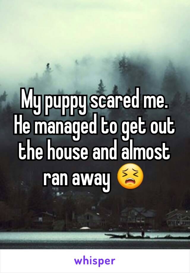 My puppy scared me. He managed to get out the house and almost ran away 😣