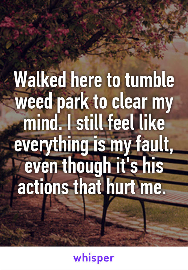 Walked here to tumble weed park to clear my mind. I still feel like everything is my fault, even though it's his actions that hurt me. 