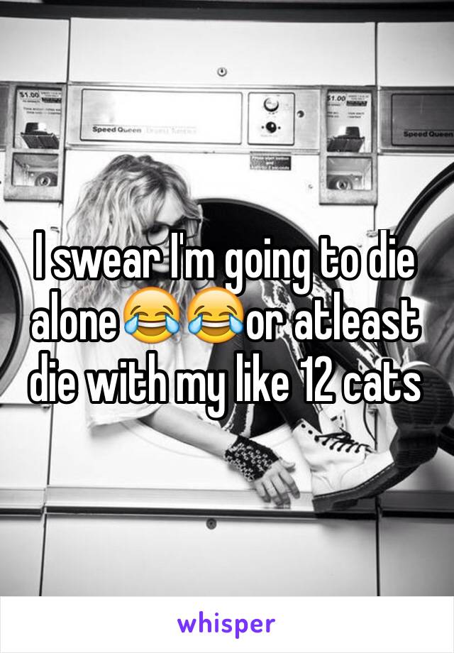 I swear I'm going to die alone😂😂or atleast die with my like 12 cats