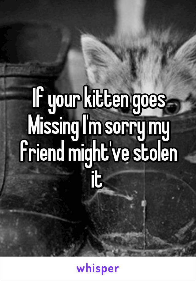 If your kitten goes Missing I'm sorry my friend might've stolen it 