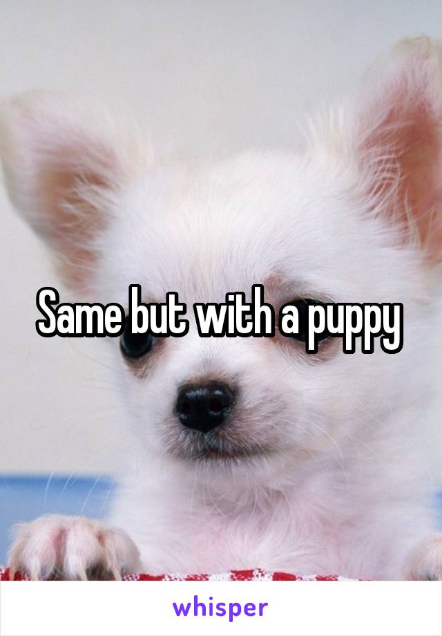 Same but with a puppy 