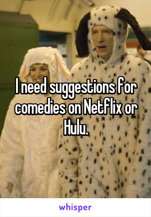 I need suggestions for comedies on Netflix or Hulu.