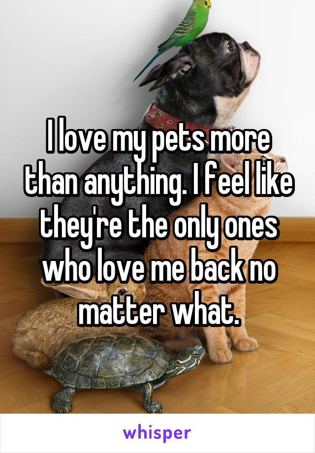 I love my pets more than anything. I feel like they're the only ones who love me back no matter what.