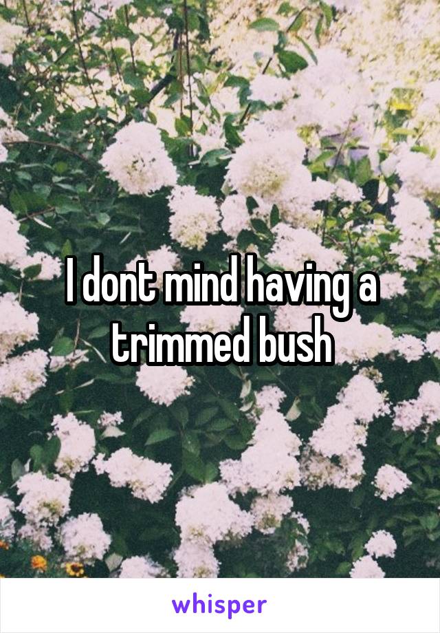 I dont mind having a trimmed bush