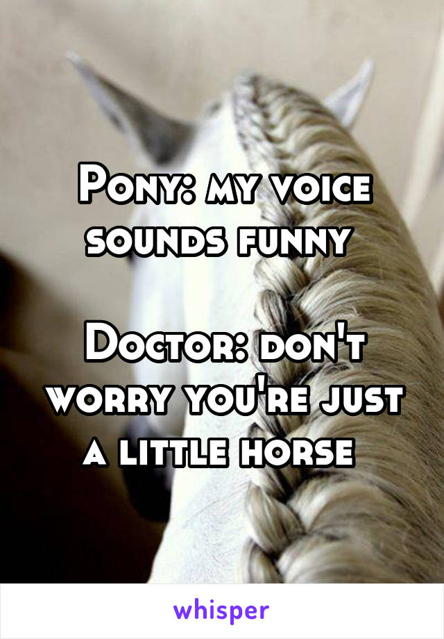 Pony: my voice sounds funny 

Doctor: don't worry you're just a little horse 