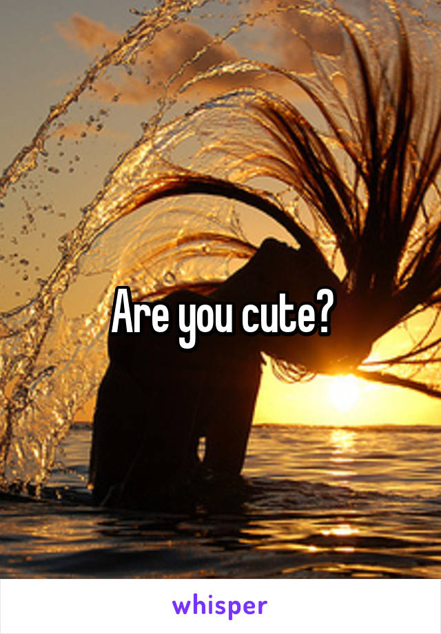 Are you cute?