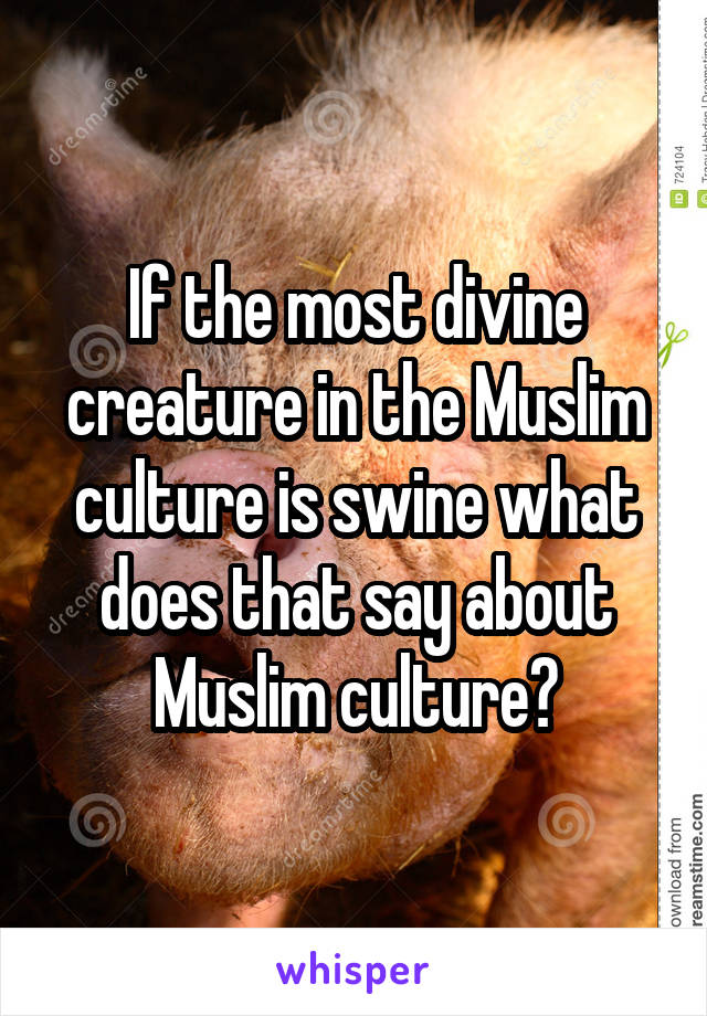 If the most divine creature in the Muslim culture is swine what does that say about Muslim culture?