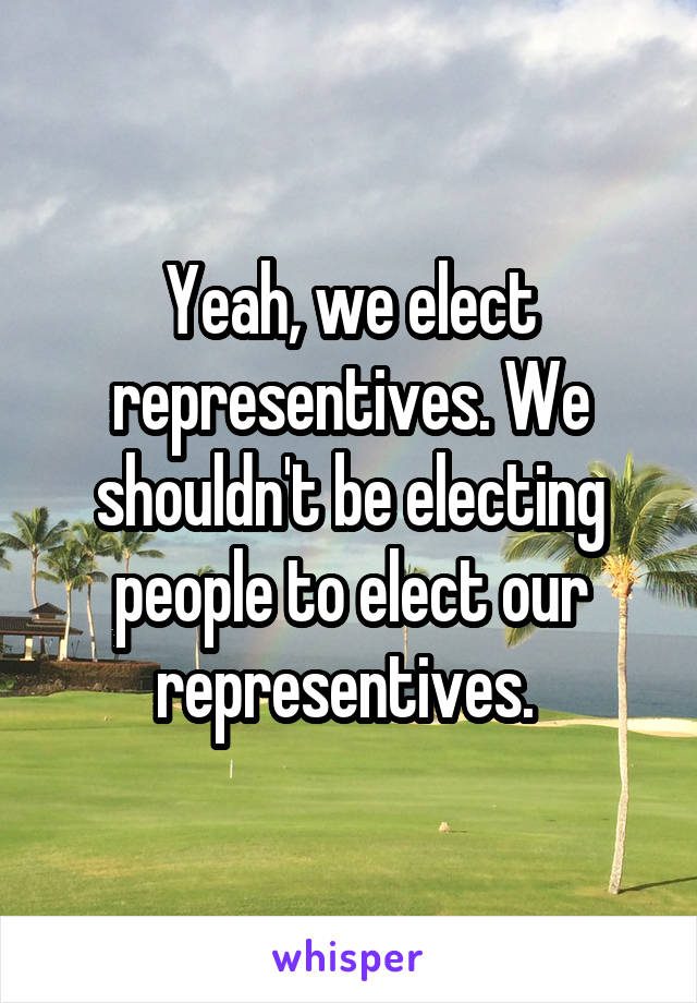 Yeah, we elect representives. We shouldn't be electing people to elect our representives. 