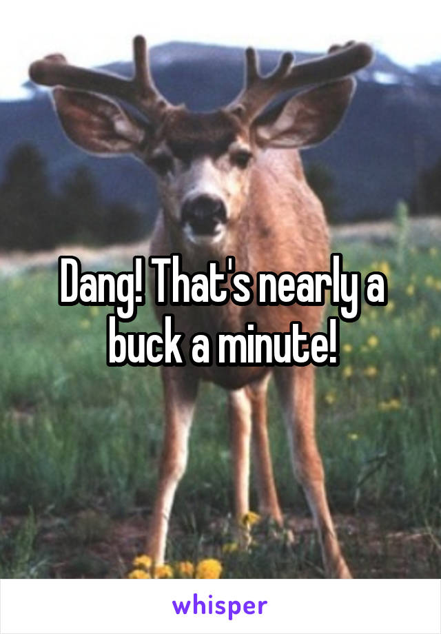 Dang! That's nearly a buck a minute!