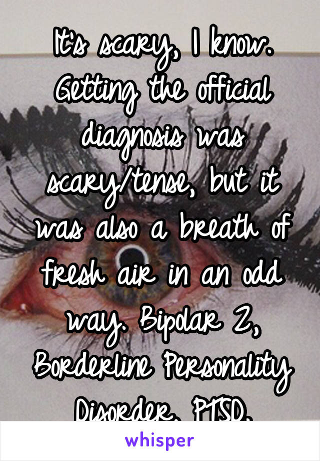 It's scary, I know. Getting the official diagnosis was scary/tense, but it was also a breath of fresh air in an odd way. Bipolar 2, Borderline Personality Disorder, PTSD.