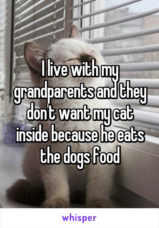 I live with my grandparents and they don't want my cat inside because he eats the dogs food