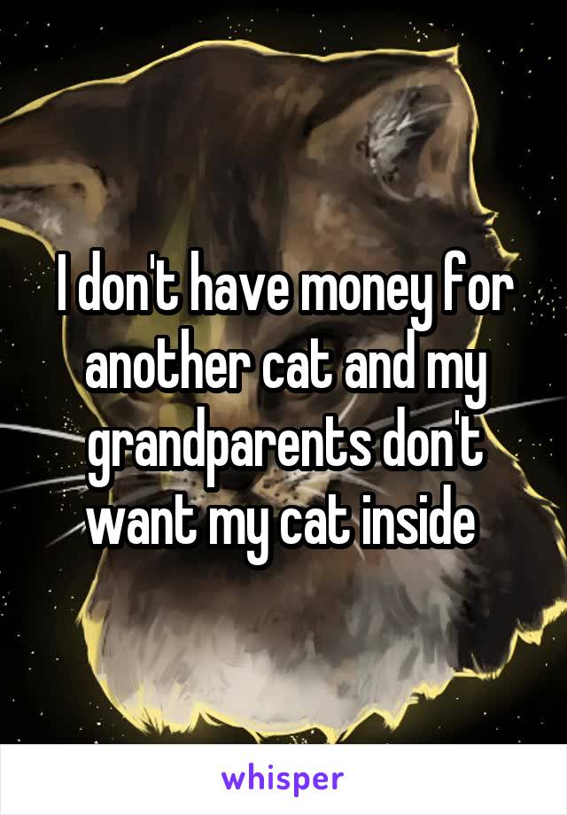 I don't have money for another cat and my grandparents don't want my cat inside 