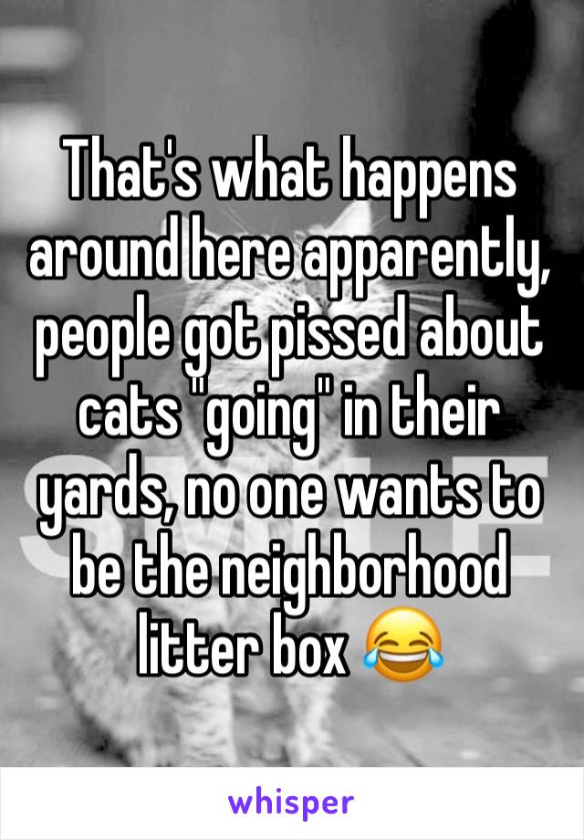 That's what happens around here apparently, people got pissed about cats "going" in their yards, no one wants to be the neighborhood litter box 😂