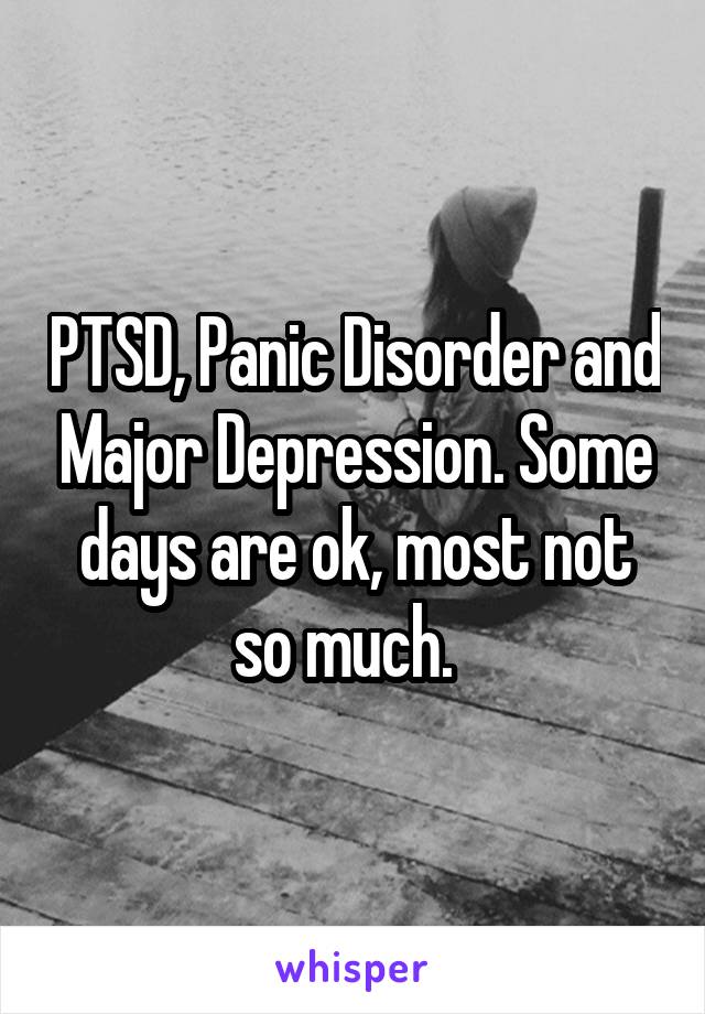 PTSD, Panic Disorder and Major Depression. Some days are ok, most not so much.  