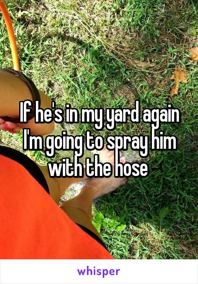 If he's in my yard again I'm going to spray him with the hose 