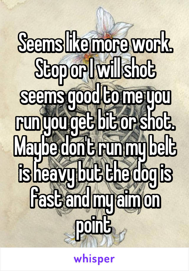 Seems like more work. Stop or I will shot seems good to me you run you get bit or shot. Maybe don't run my belt is heavy but the dog is fast and my aim on point 