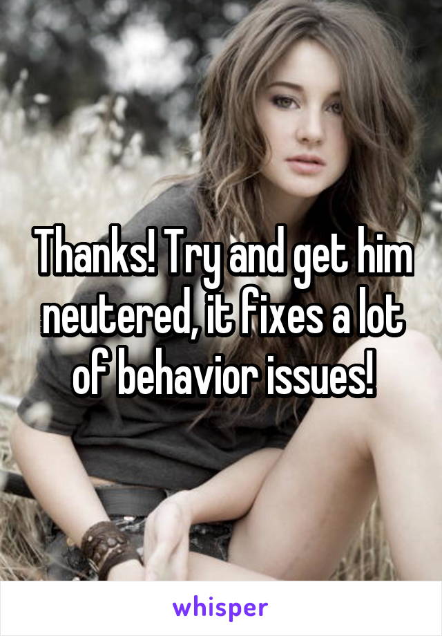 Thanks! Try and get him neutered, it fixes a lot of behavior issues!