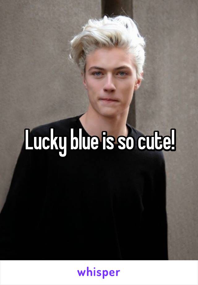 Lucky blue is so cute!