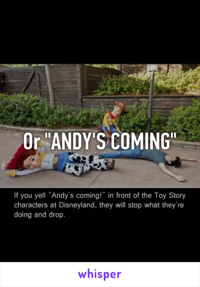Or "ANDY'S COMING"