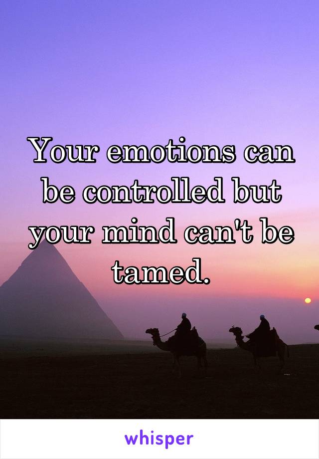 Your emotions can be controlled but your mind can't be tamed.
