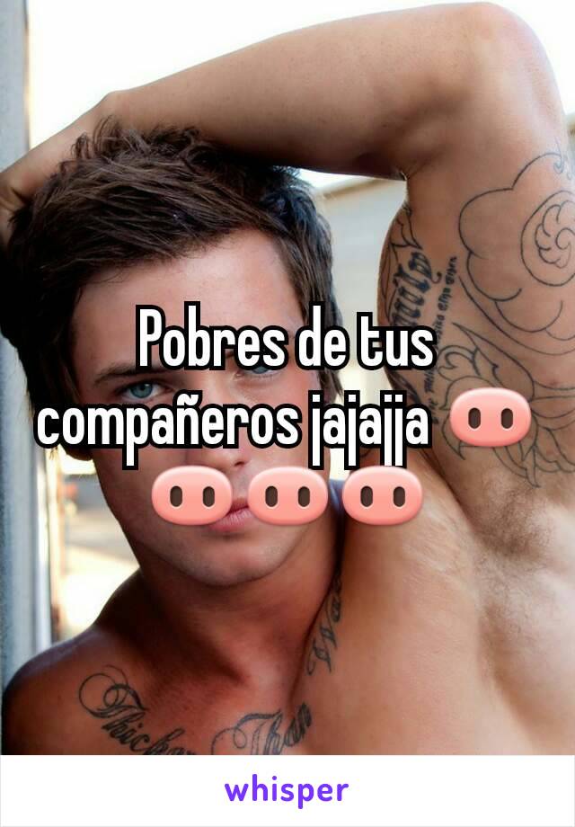 Pobres de tus compañeros jajajja 🐽🐽🐽🐽