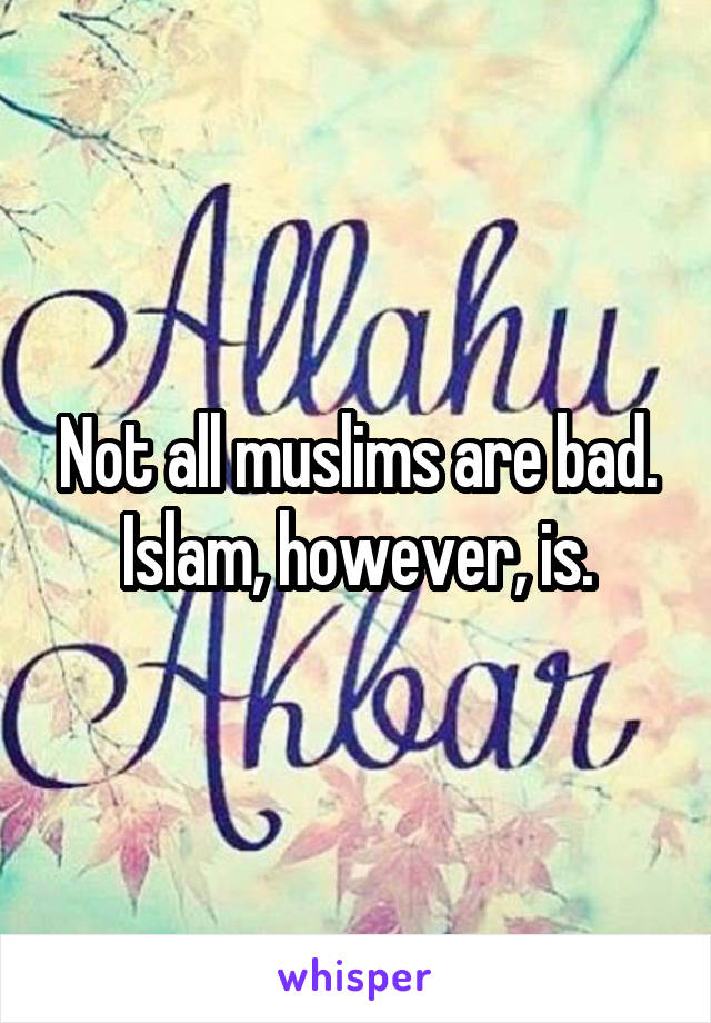 Not all muslims are bad. Islam, however, is.