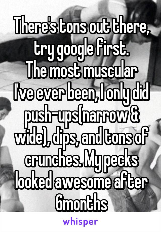 There's tons out there, try google first.
The most muscular I've ever been, I only did push-ups(narrow & wide), dips, and tons of crunches. My pecks looked awesome after 6months