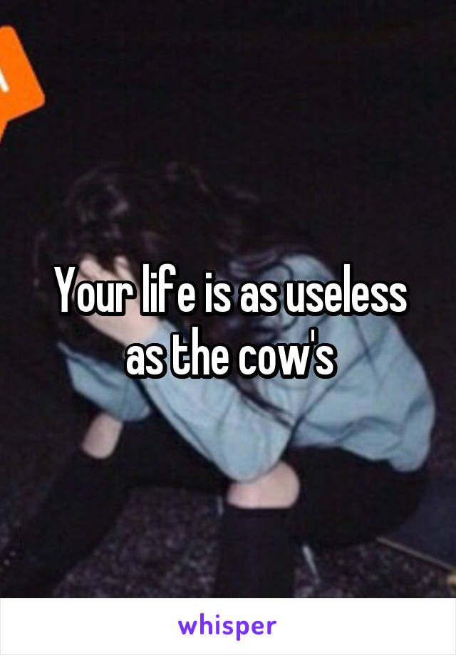 Your life is as useless as the cow's