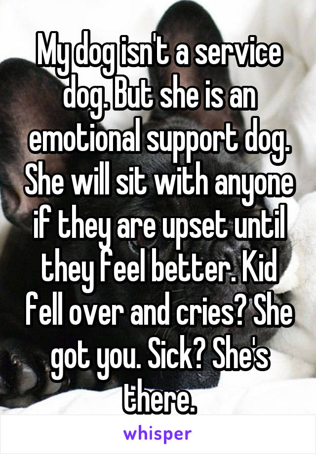 My dog isn't a service dog. But she is an emotional support dog. She will sit with anyone if they are upset until they feel better. Kid fell over and cries? She got you. Sick? She's there.