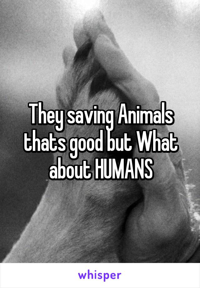 They saving Animals thats good but What about HUMANS