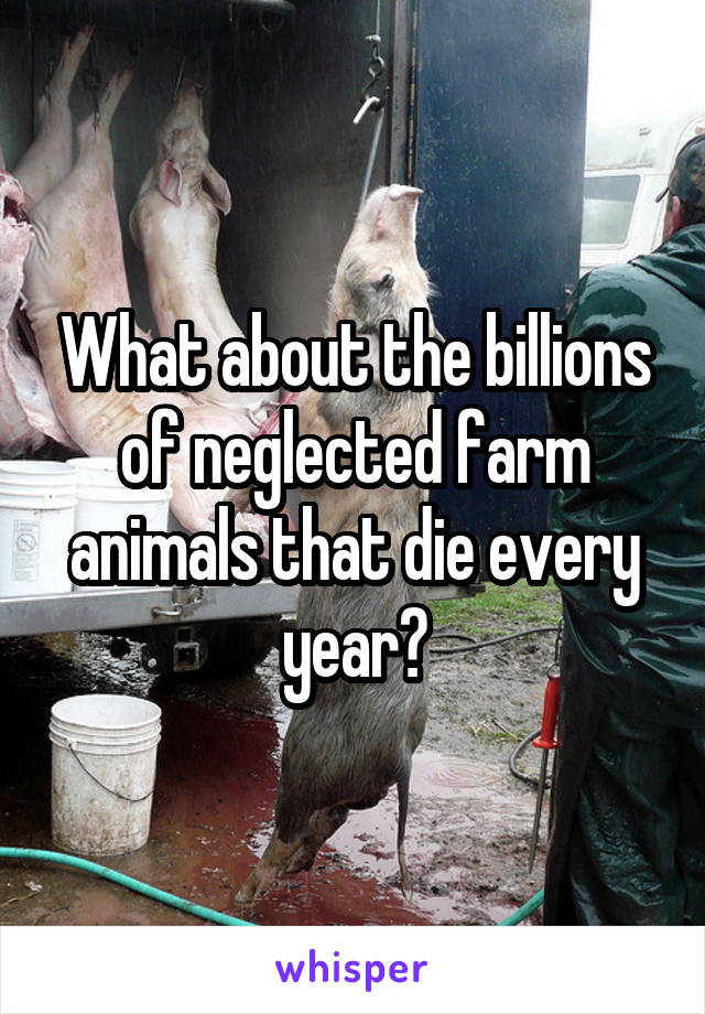 What about the billions of neglected farm animals that die every year?