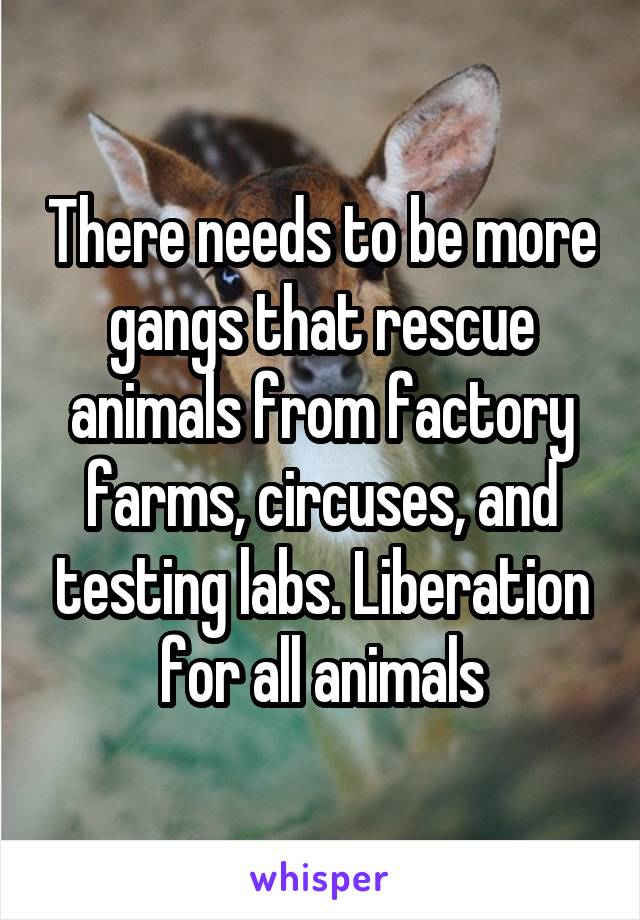 There needs to be more gangs that rescue animals from factory farms, circuses, and testing labs. Liberation for all animals