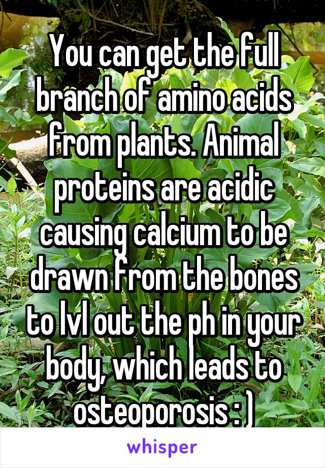 You can get the full branch of amino acids from plants. Animal proteins are acidic causing calcium to be drawn from the bones to lvl out the ph in your body, which leads to osteoporosis : )