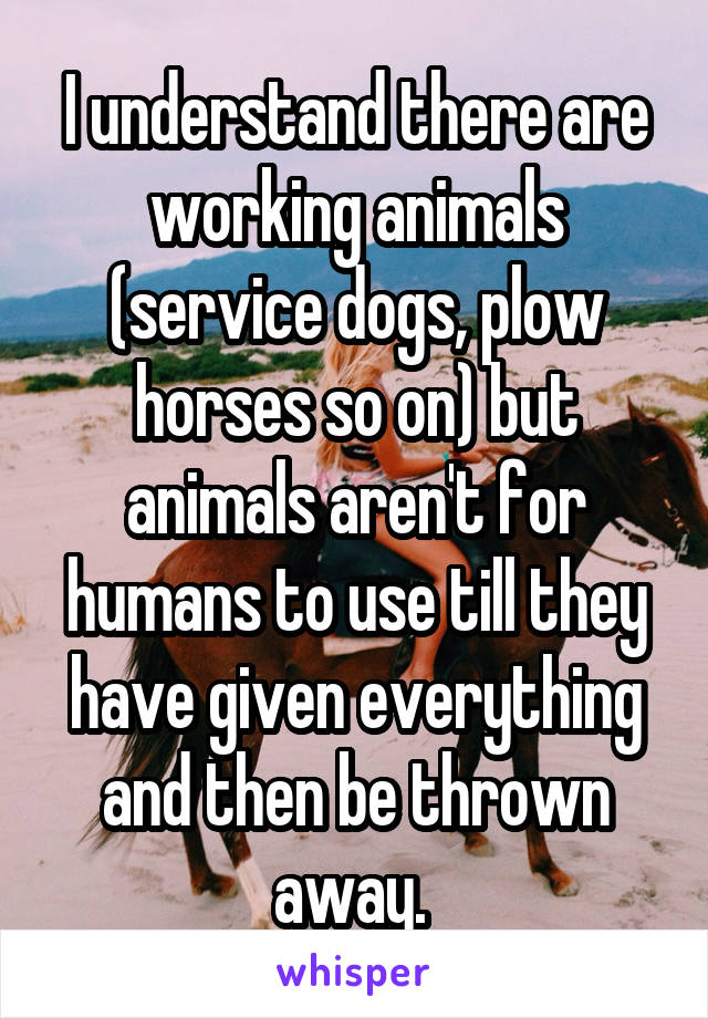 I understand there are working animals (service dogs, plow horses so on) but animals aren't for humans to use till they have given everything and then be thrown away. 