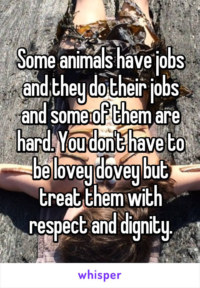 Some animals have jobs and they do their jobs and some of them are hard. You don't have to be lovey dovey but treat them with respect and dignity.