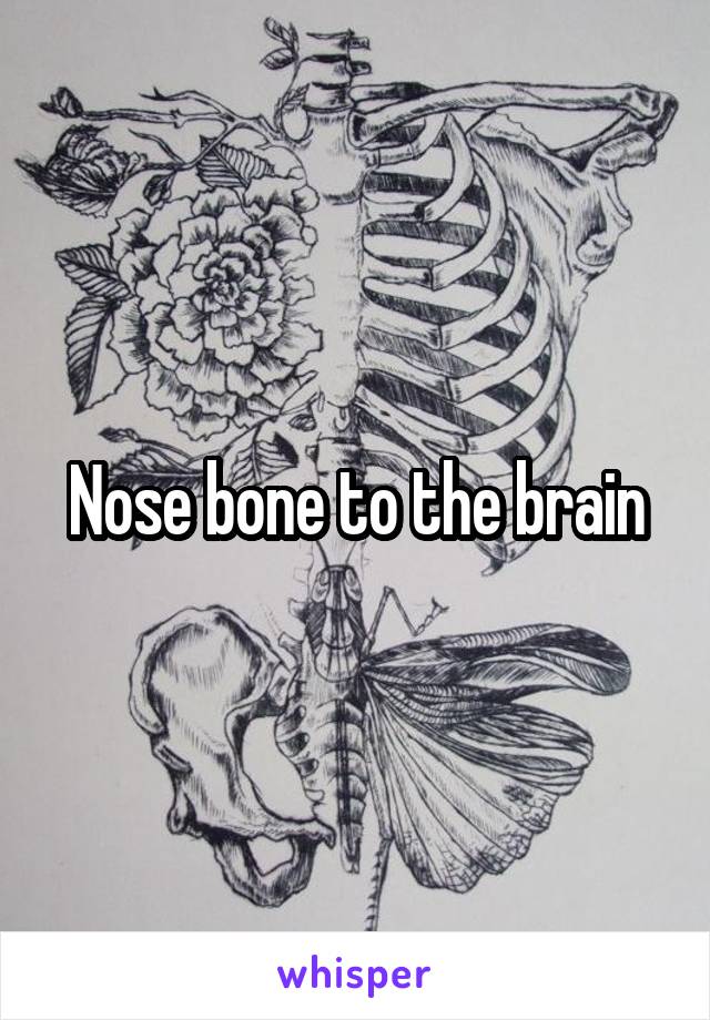 Nose bone to the brain