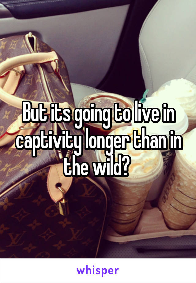 But its going to live in captivity longer than in the wild? 