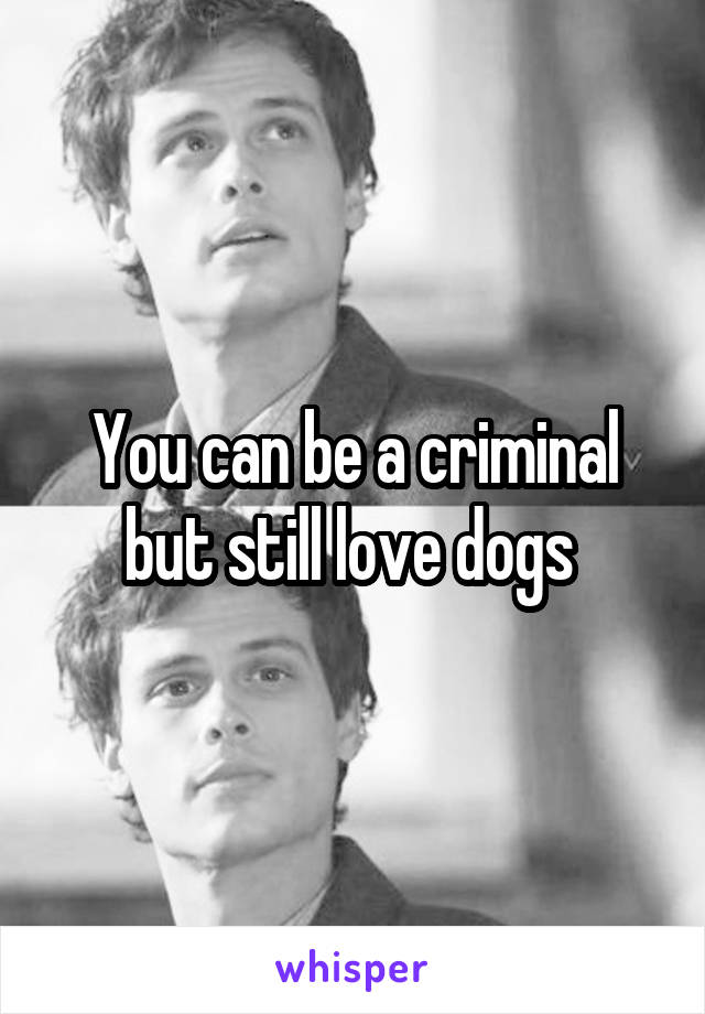 You can be a criminal but still love dogs 