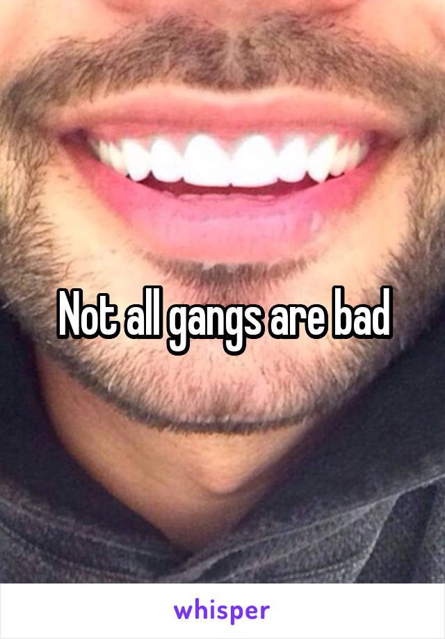 Not all gangs are bad