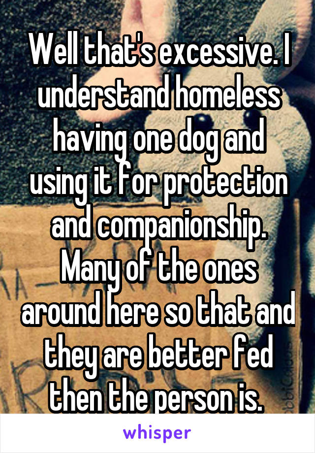 Well that's excessive. I understand homeless having one dog and using it for protection and companionship. Many of the ones around here so that and they are better fed then the person is. 