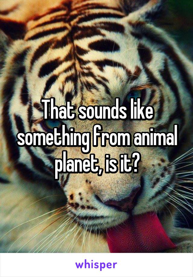 That sounds like something from animal planet, is it?