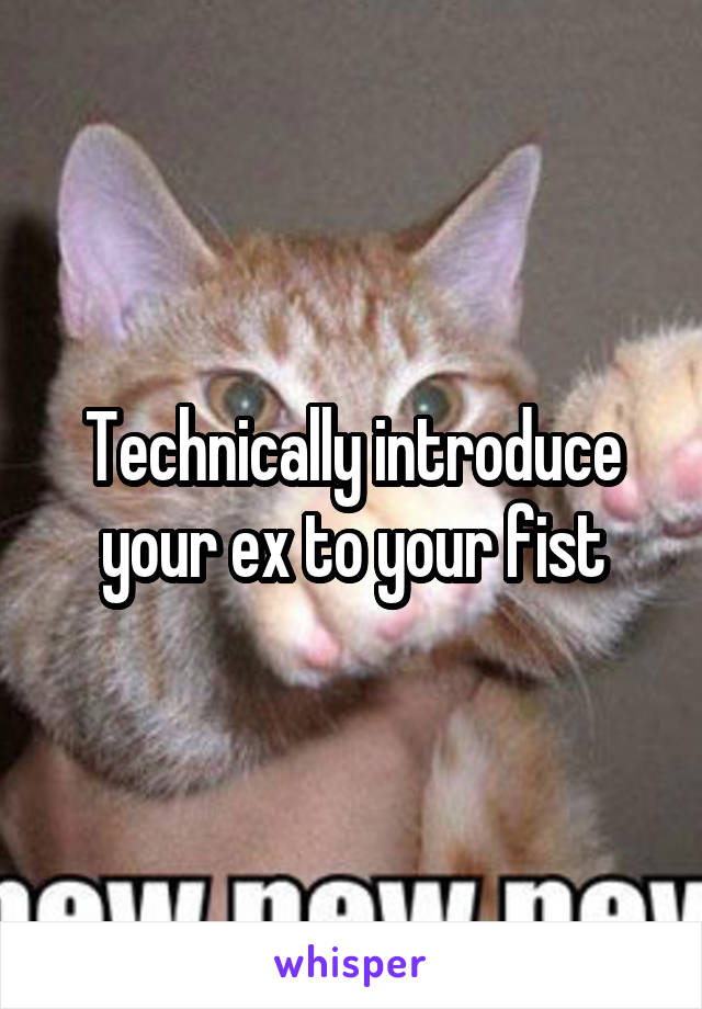 Technically introduce your ex to your fist