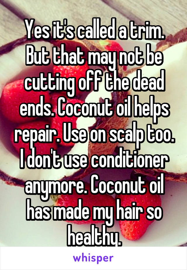 Yes it's called a trim. But that may not be cutting off the dead ends. Coconut oil helps repair. Use on scalp too. I don't use conditioner anymore. Coconut oil has made my hair so healthy.