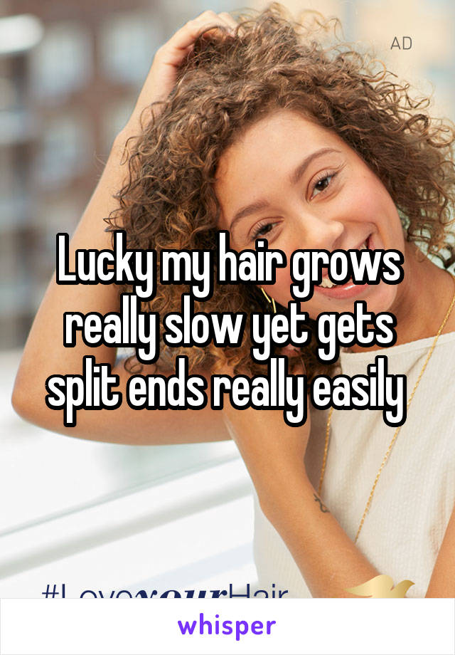 Lucky my hair grows really slow yet gets split ends really easily 