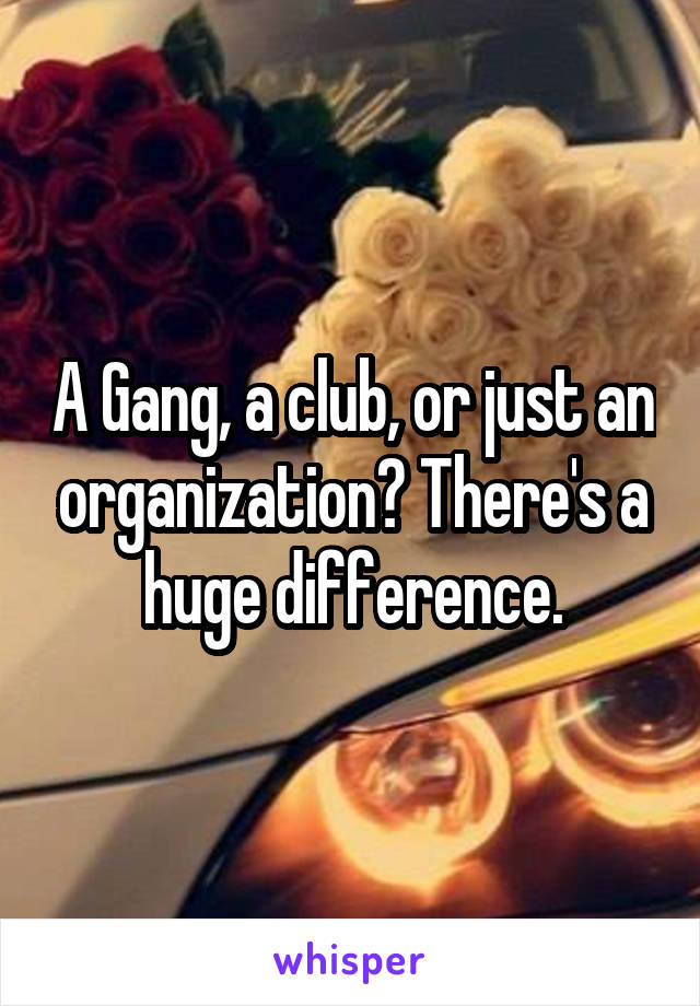 A Gang, a club, or just an organization? There's a huge difference.