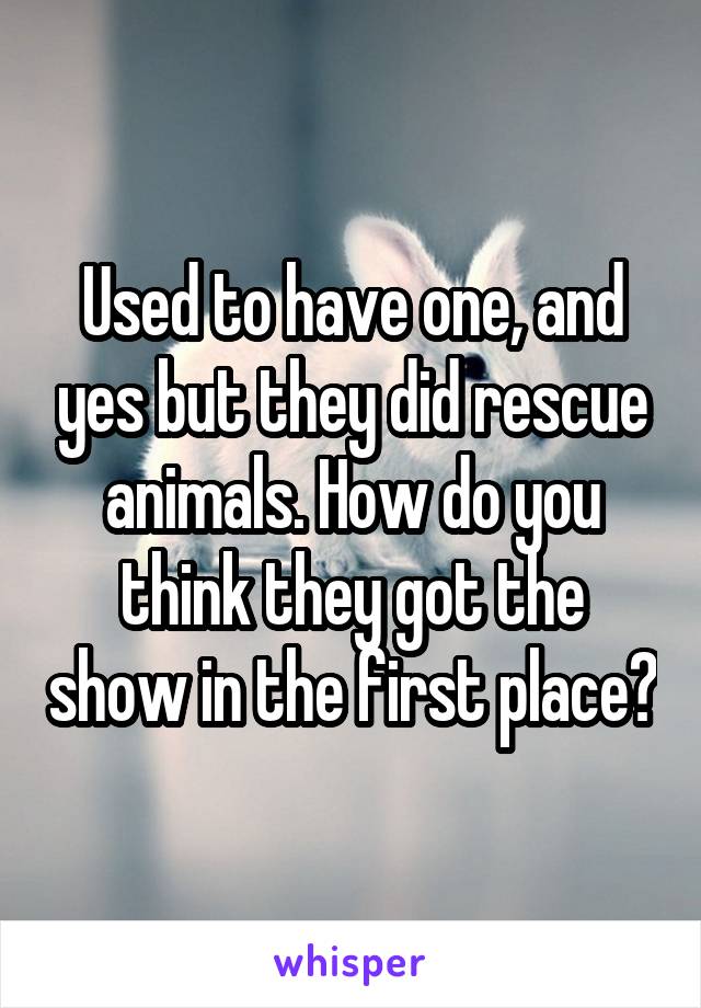 Used to have one, and yes but they did rescue animals. How do you think they got the show in the first place?