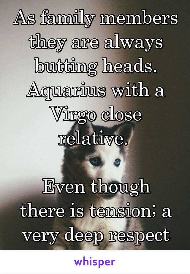 As family members they are always butting heads. Aquarius with a Virgo close relative. 

Even though there is tension; a very deep respect can come from it.