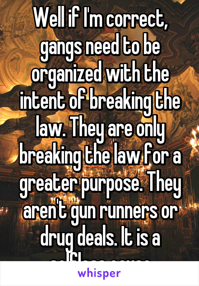 Well if I'm correct, gangs need to be organized with the intent of breaking the law. They are only breaking the law for a greater purpose. They aren't gun runners or drug deals. It is a selfless cause